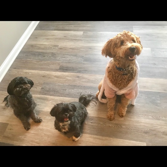 *[welcome]* - Picture 5 of 8